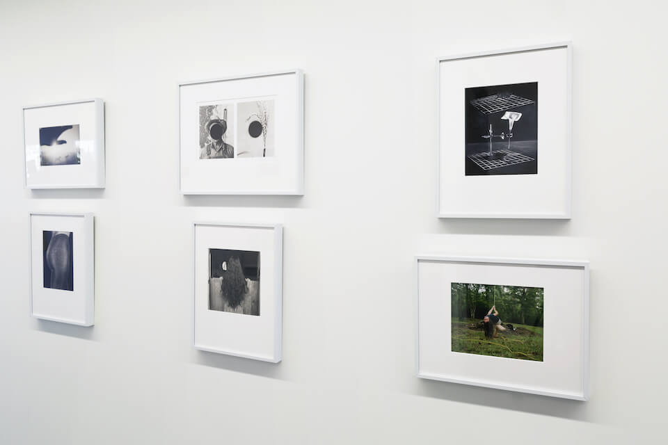 Photography from Light Work displayed at Terakeet offices