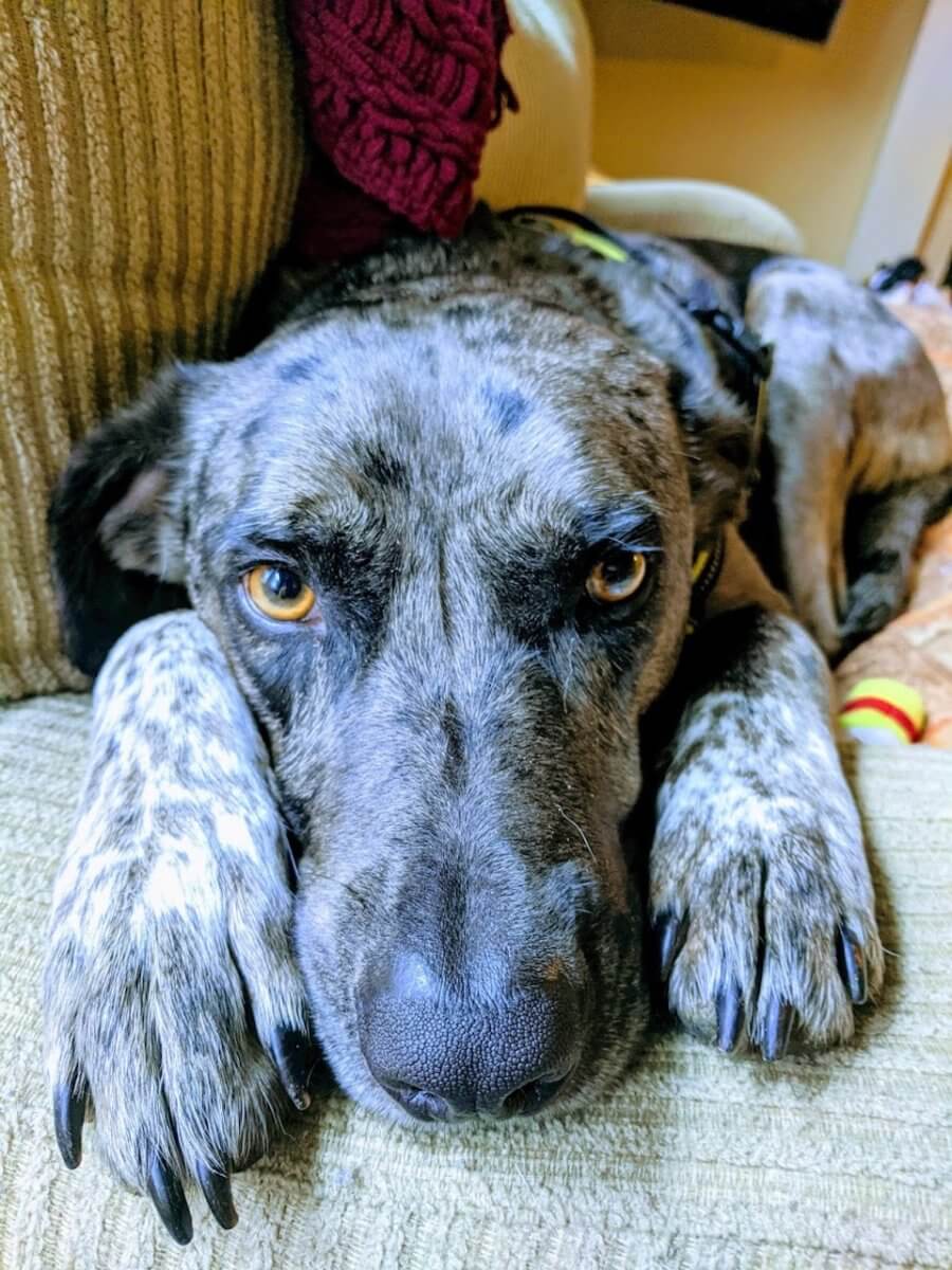 Rufus Teague, Rakesh's bestest colleague. 