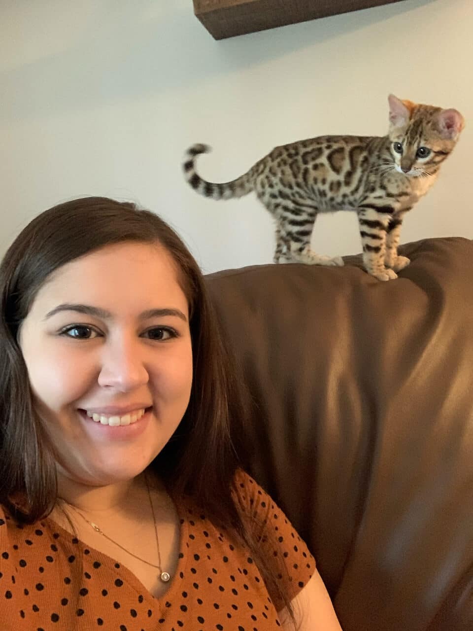 anna dussing birthday cat