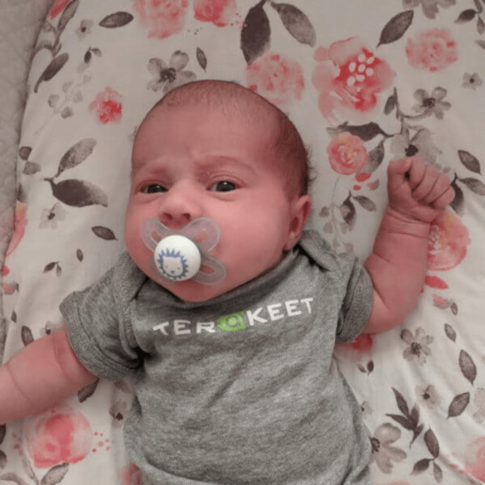 A baby laying down wearing a 'Terakeet' onesie.