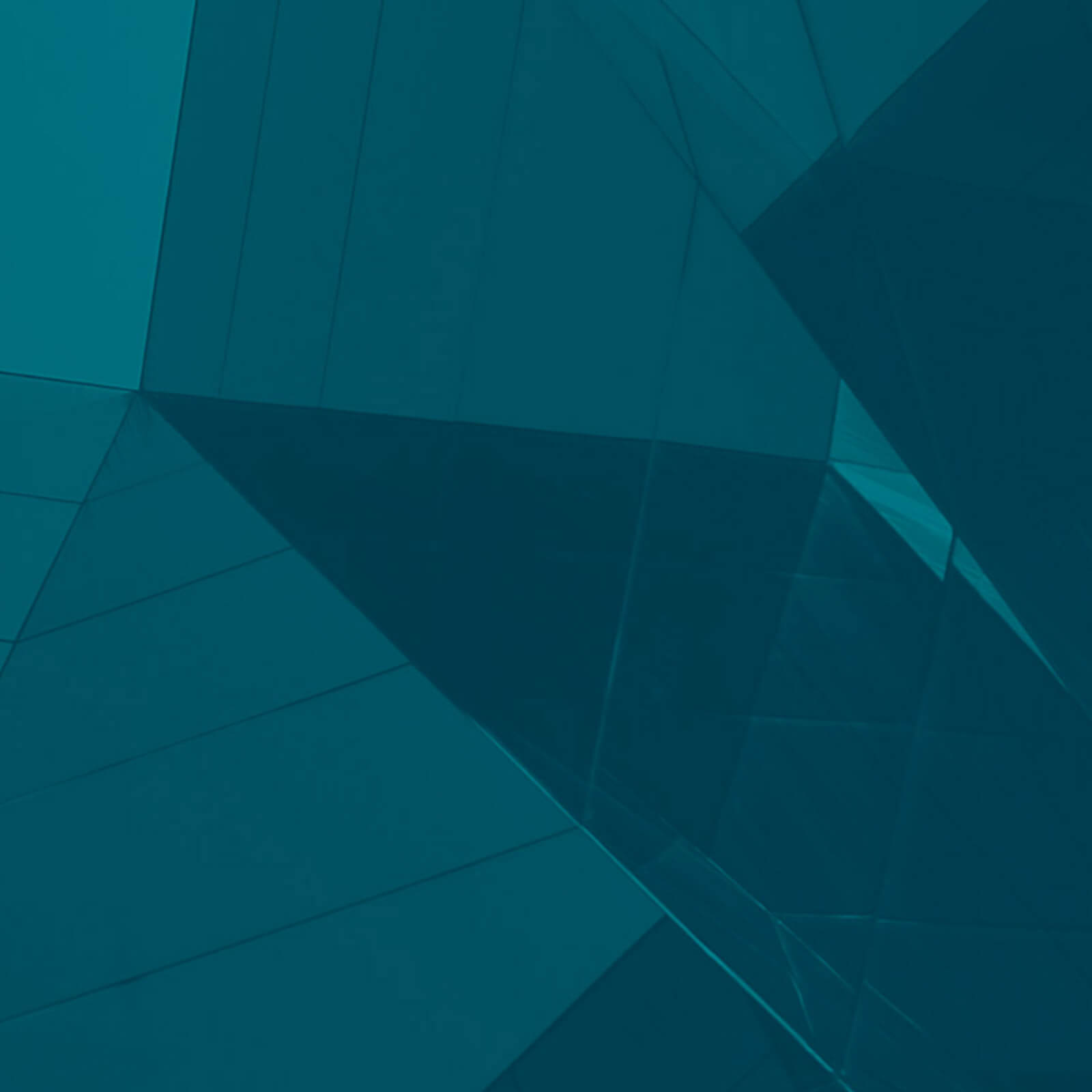 terakeet impact statement blue wall