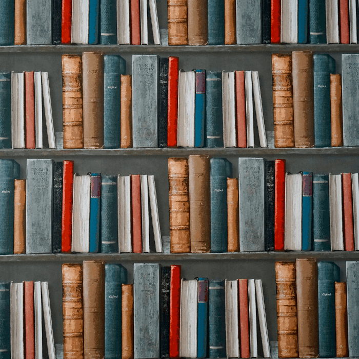 Bookcase full of books