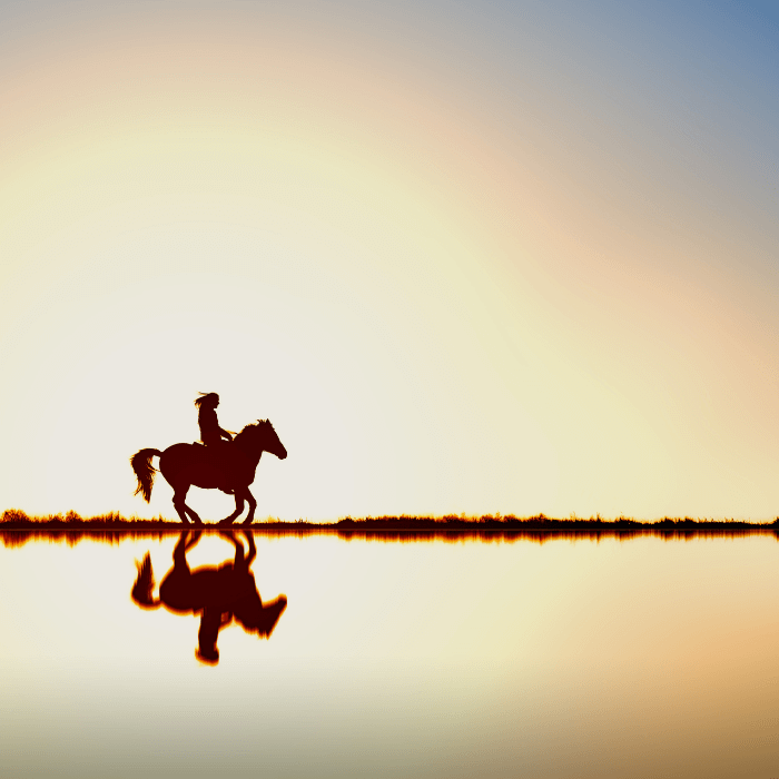 Horse and rider silhouetted at sunset