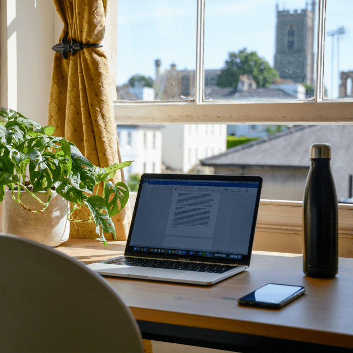 A plant and laptop sit on top of a desk