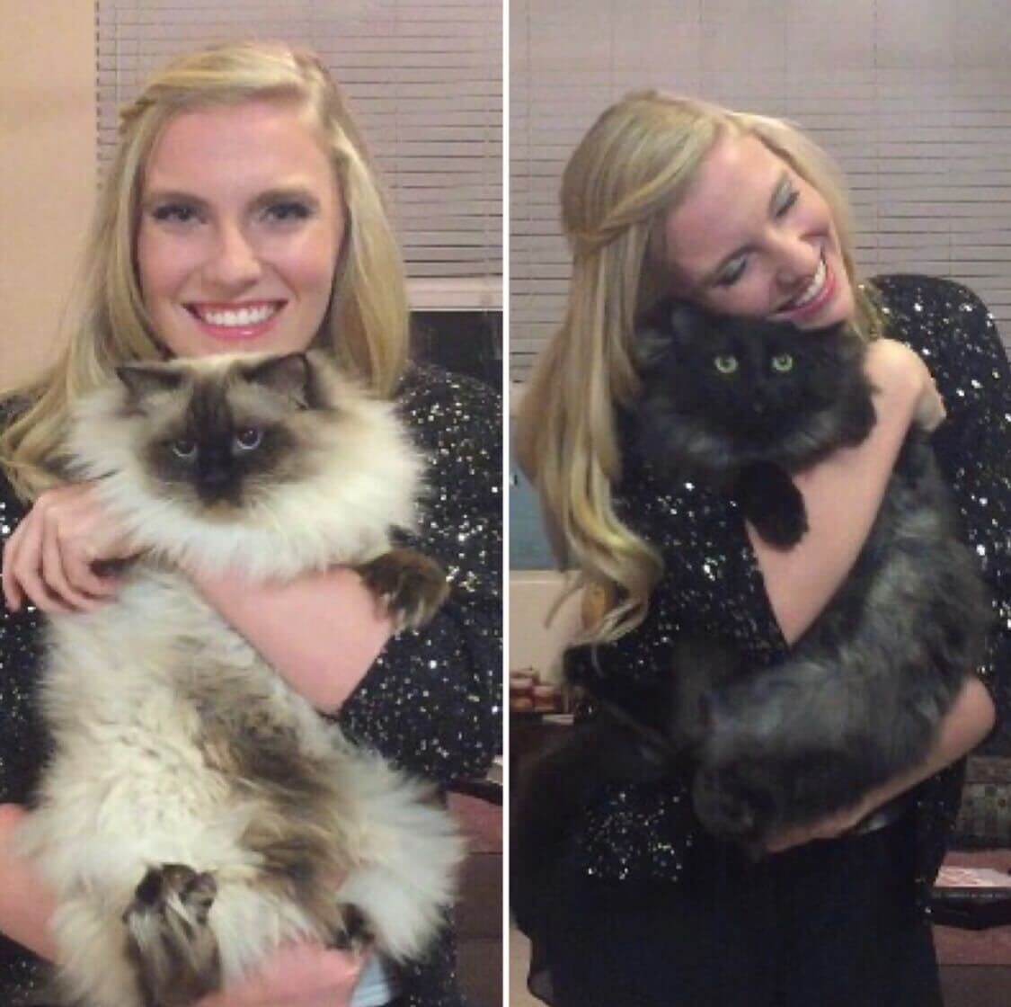 lexi grafe holding two cats