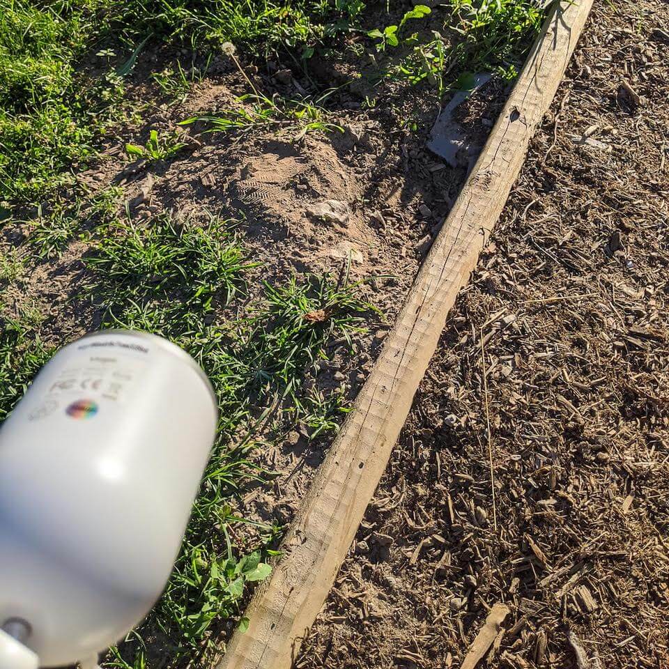 surveillance camera pointed at ground near turtle eggs